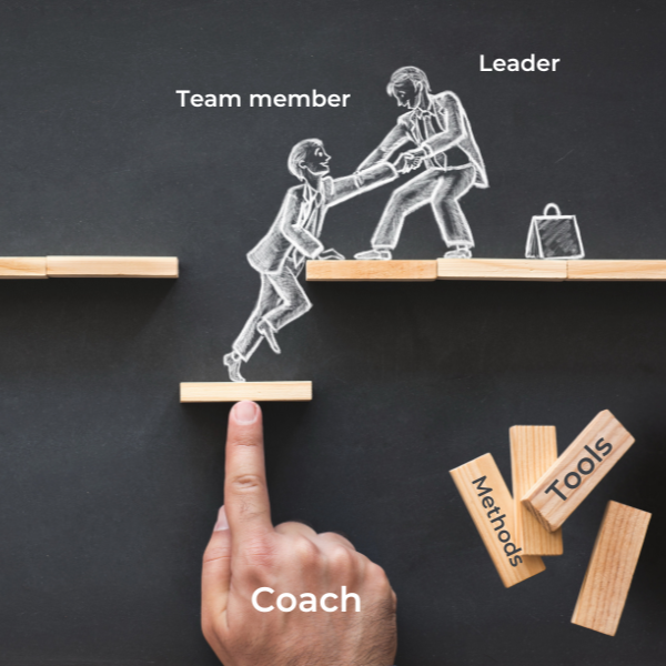 Team Development